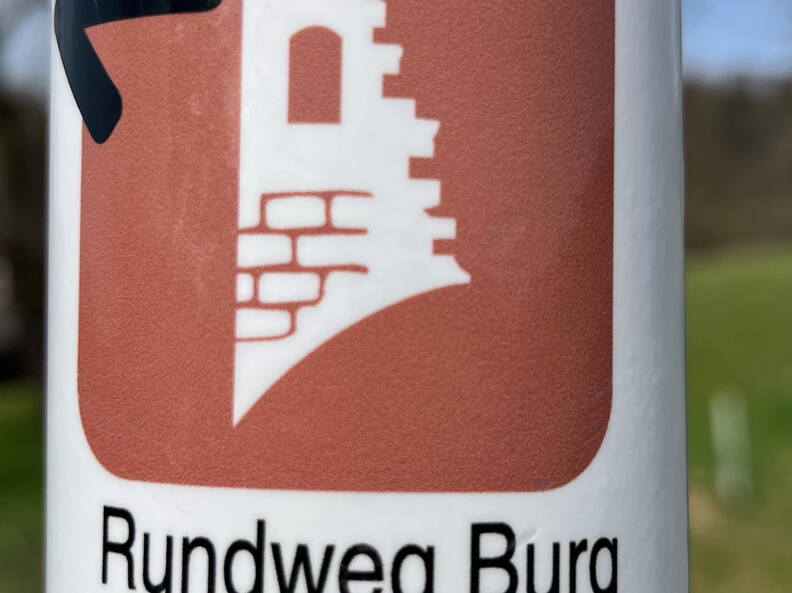 25-03-21 12-53-21 2491